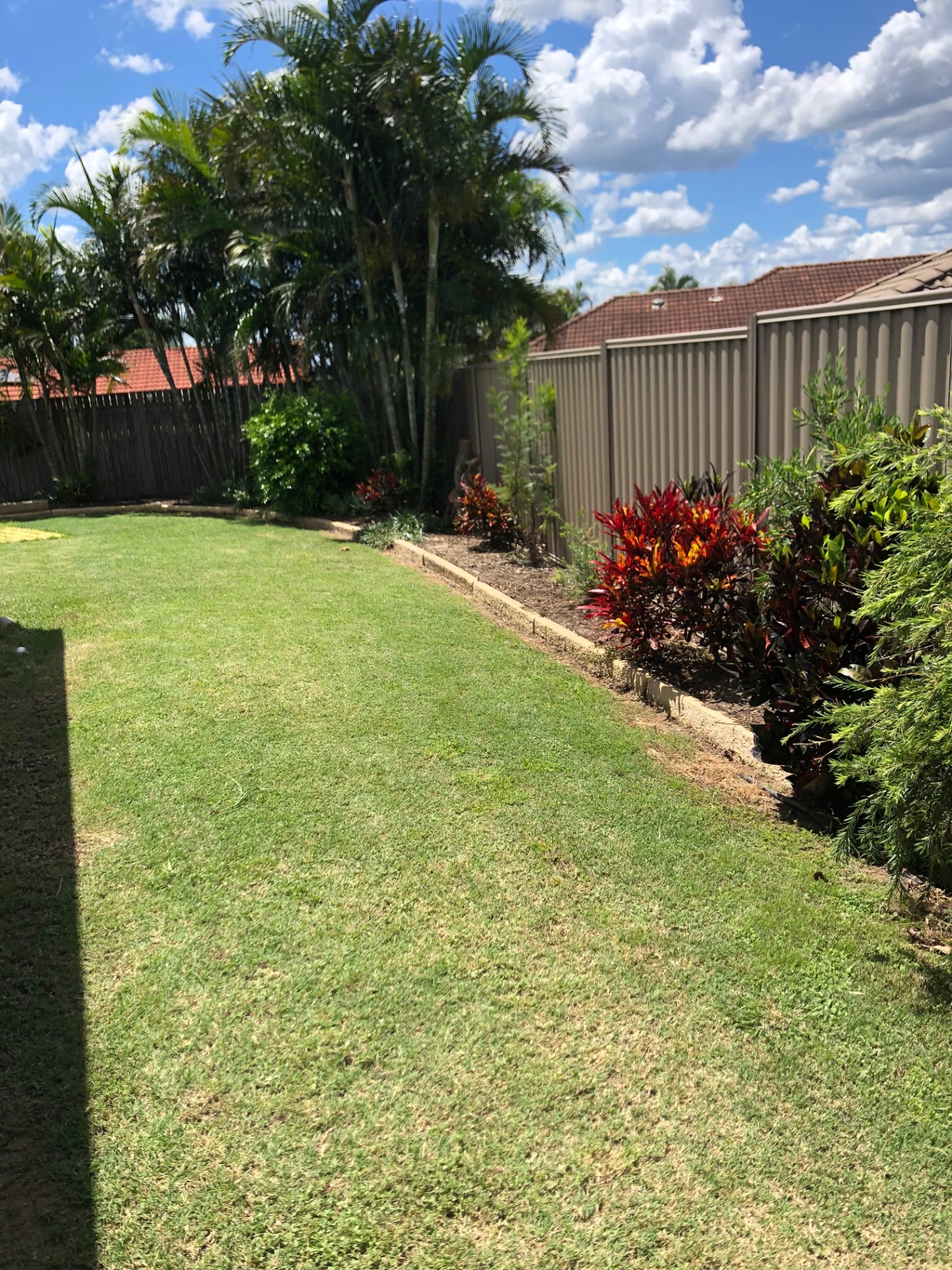 Colorbond fence with landscaping